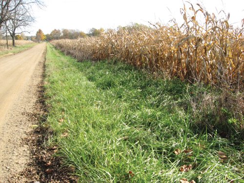 Property photo 1 - 212 Acres Offered in 6 Tracts - Selling Regardless of Price
